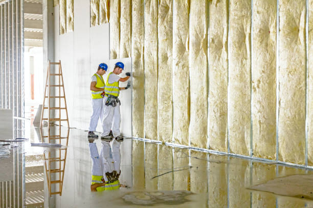 Best Residential Insulation in Shorewood Tower Hills Harbert, MI
